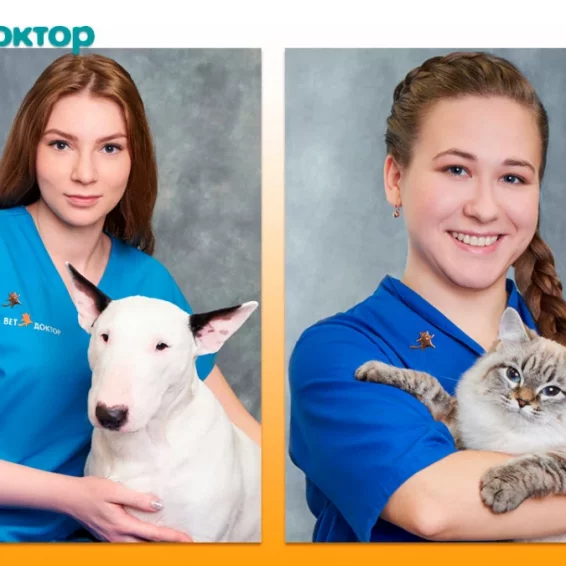 Ветеринарная клиника Ветдоктор на улице Уральских Рабочих фотография 6